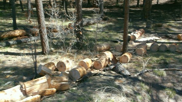 FWG2.jpg