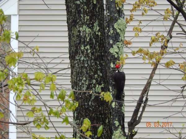 DSCN1530.JPG