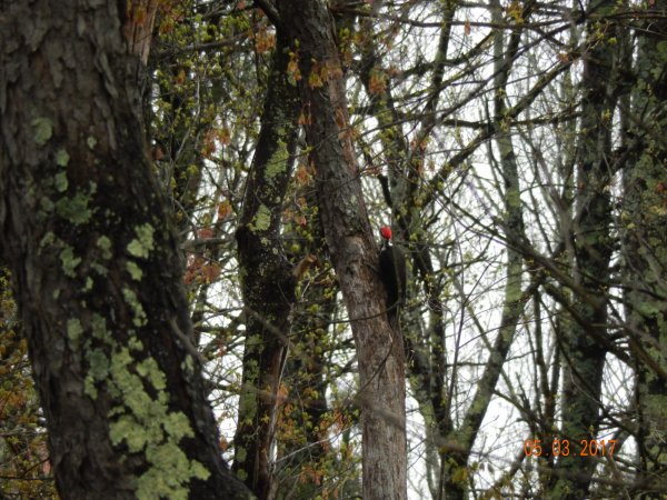 DSCN1533.JPG