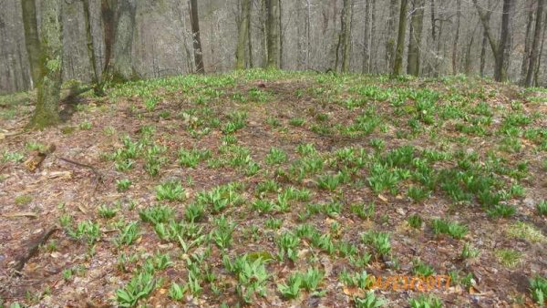 100_0160.JPG