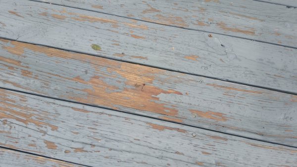 20170506_100307.jpg