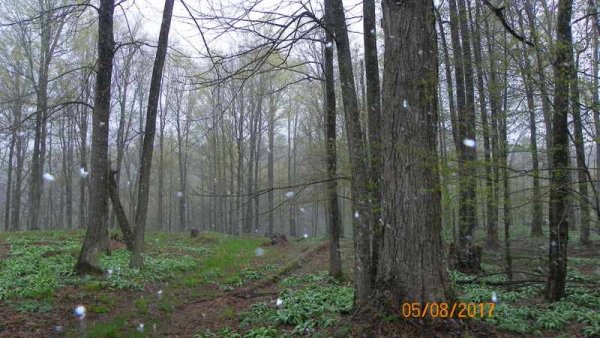 100_0216.JPG