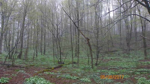 100_0217.JPG
