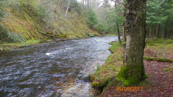 100_0218.JPG