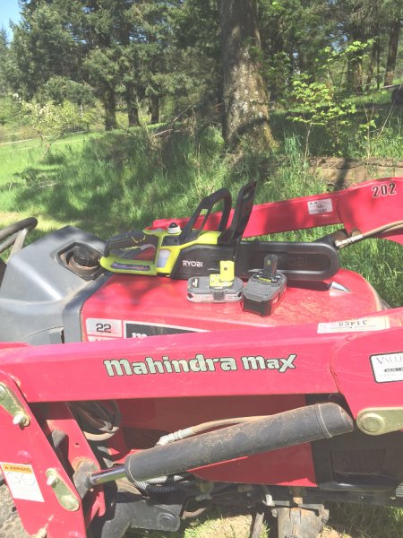 Logging withelectricsaw2.JPG