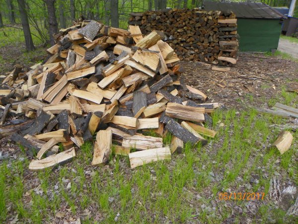 2017 by green barn-2.JPG