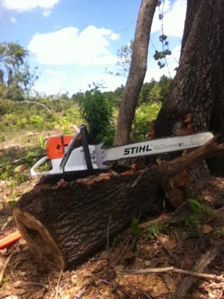 Chainsaw Stihl 660 - 2017.jpg