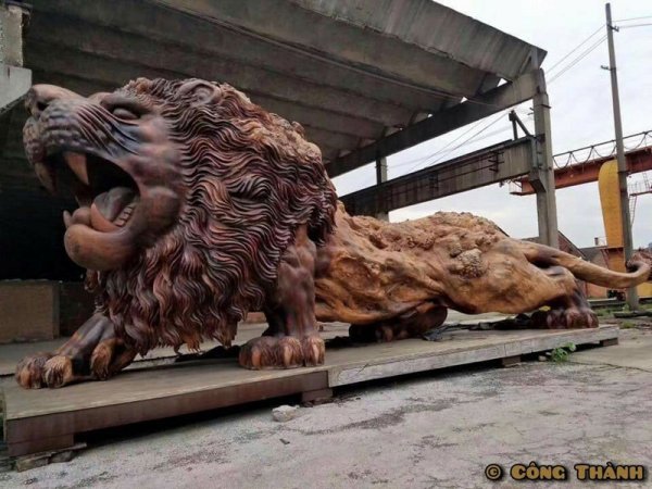 lion-carved-from-single-tree-trunk-by-dengding-rui-yao-2.jpg