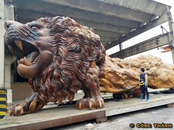 lion-carved-from-single-tree-trunk-by-dengding-rui-yao-4.jpg