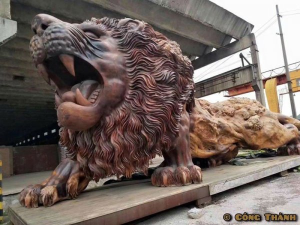 lion-carved-from-single-tree-trunk-by-dengding-rui-yao-7.jpg
