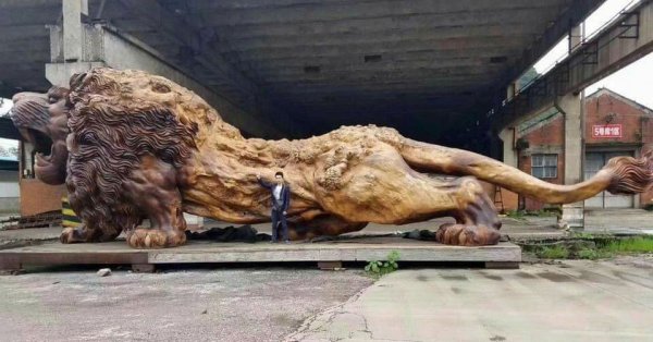 lion-carved-from-single-tree-trunk-by-dengding-rui-yao-12.jpg