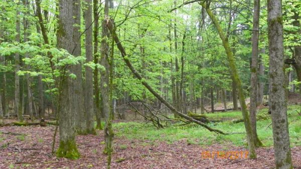 100_0253.JPG
