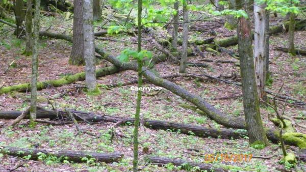 100_0252.JPG