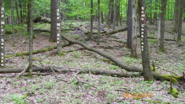 100_0264.JPG
