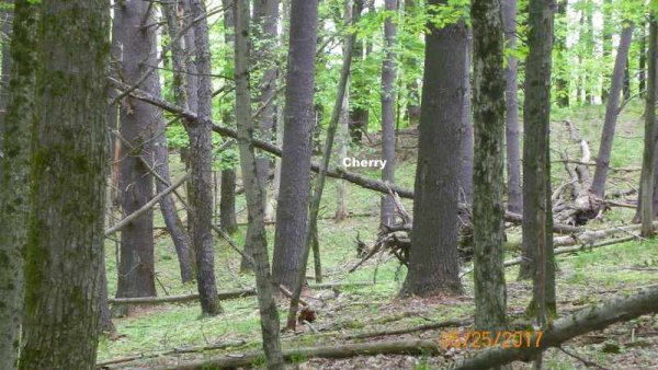 100_0266.JPG