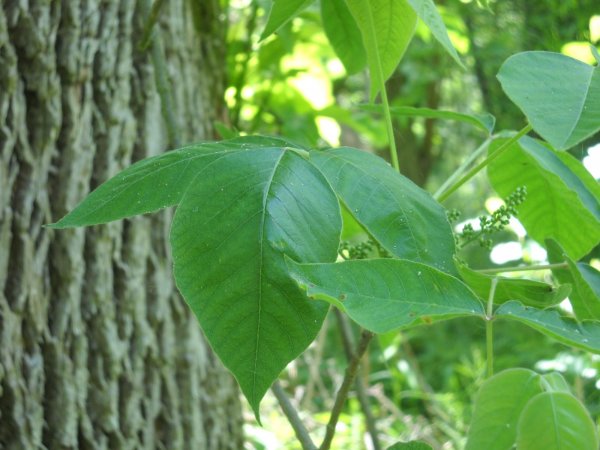DSCN2002.JPG