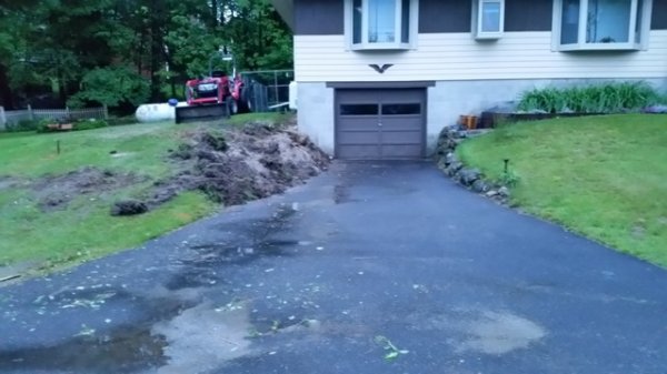 lilac-forsythia-stump gone.jpg