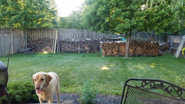 20170608_193852.jpg