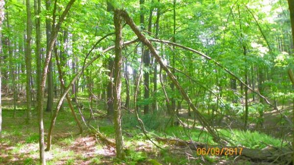 100_0301.JPG