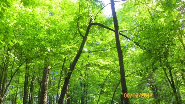 100_0302.JPG