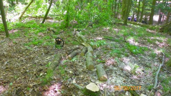 100_0306.JPG