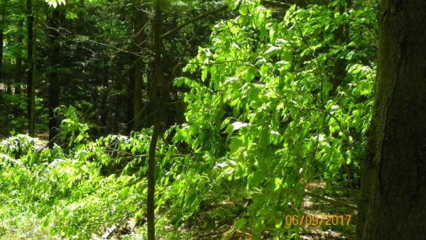 100_0309.JPG