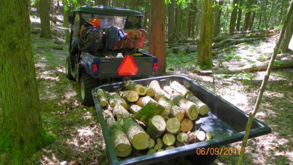 100_0310.JPG