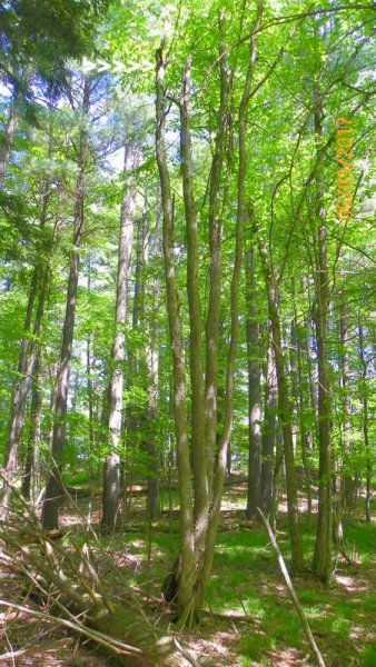 100_0307.JPG
