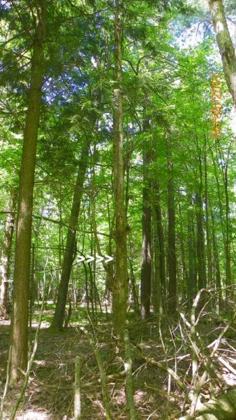 100_0308.JPG