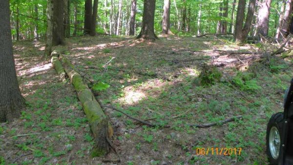 100_0311.JPG