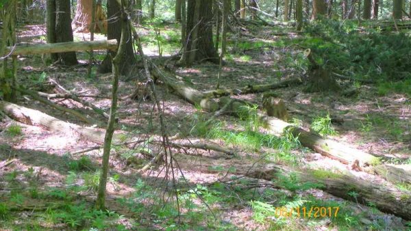 100_0316.JPG