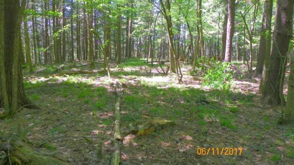 100_0318.JPG