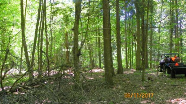 100_0322.JPG