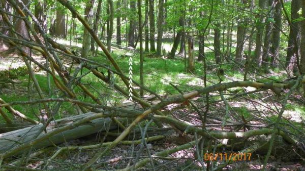 100_0321.JPG