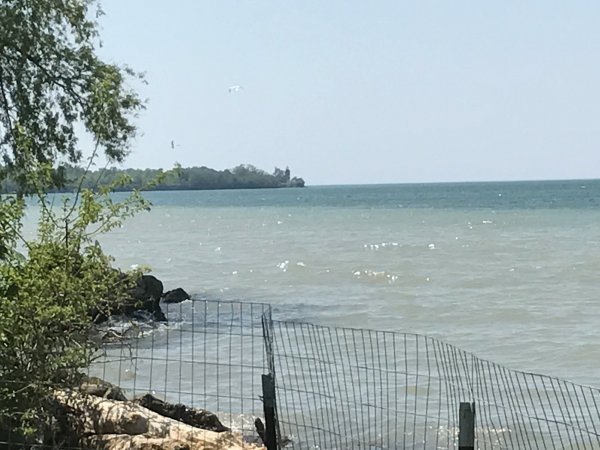 IMG_1031.JPG