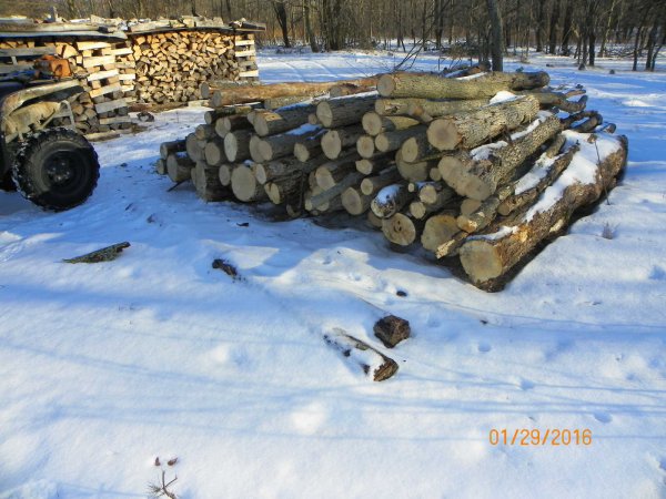 Log pile 1-29-2016.JPG