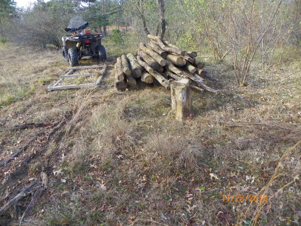 Log pile 2015b.JPG