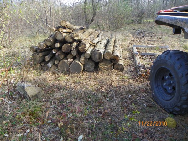 Log pile 2015c.JPG