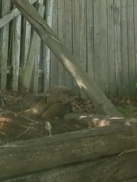 20170615_150505.jpg