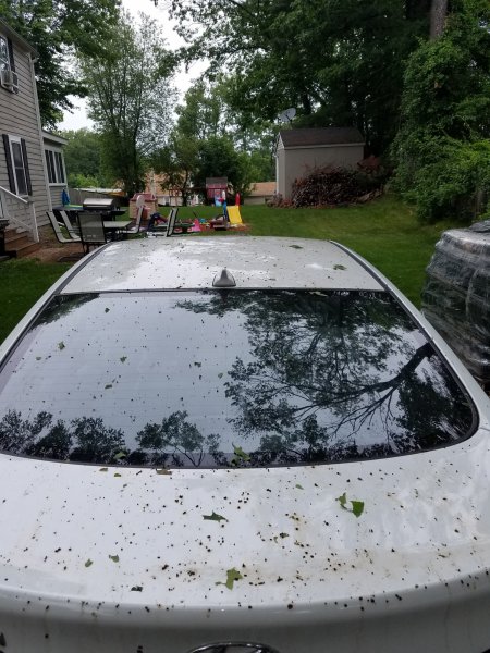 20170617_132042.jpg