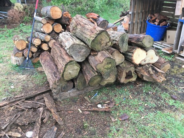 IMG_2103.JPG