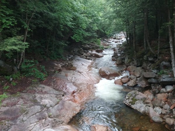 20170618_095613.jpg