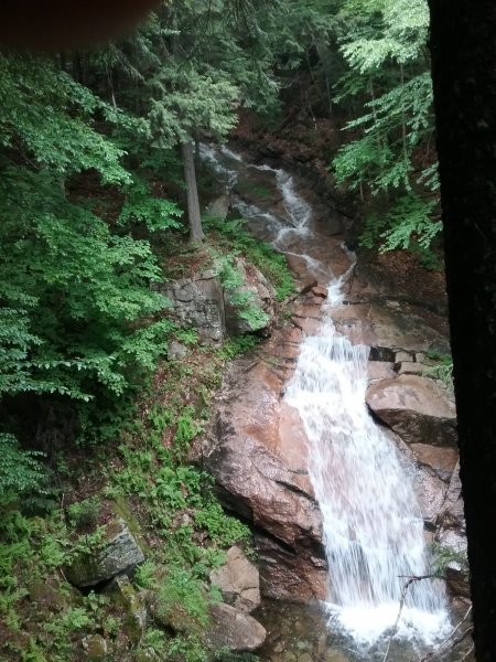 20170618_102948.jpg