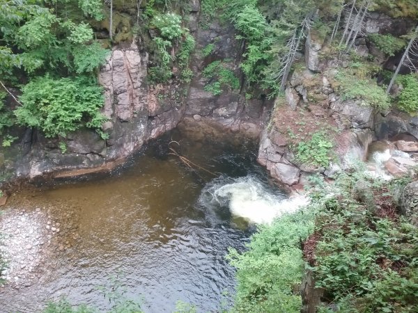 20170618_103349.jpg