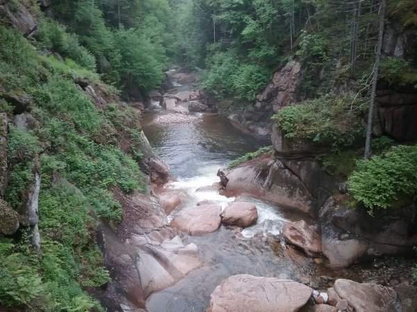20170618_103628.jpg