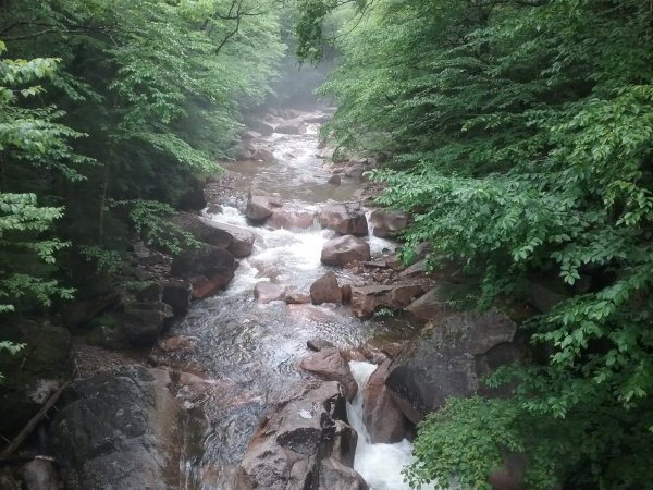 20170618_103639.jpg