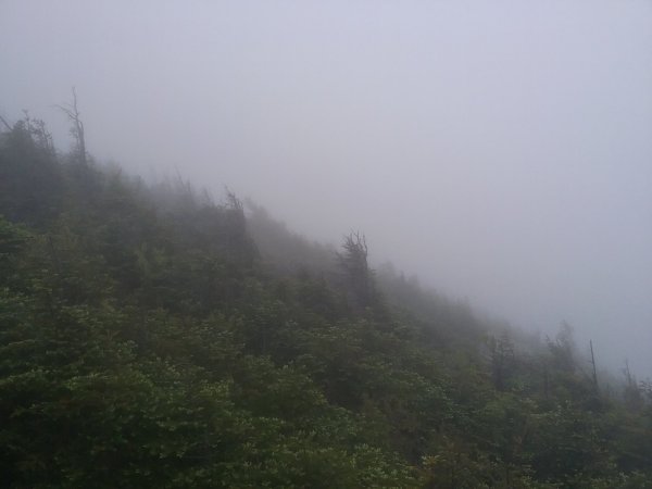 20170618_112906.jpg