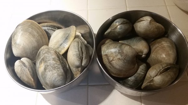 20170618_100305.jpg