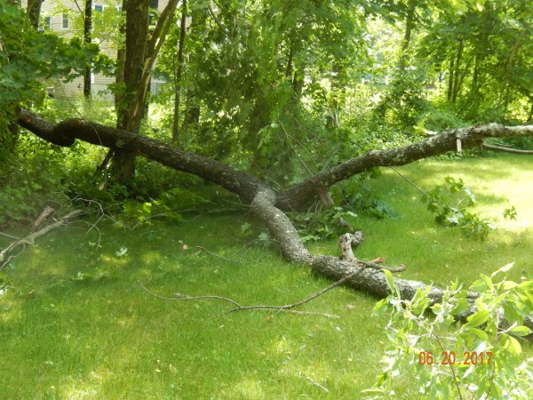 DSCN1580.JPG