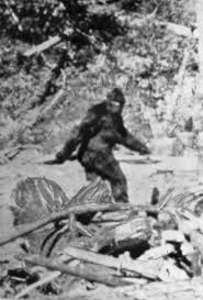 bigfoot.jpg